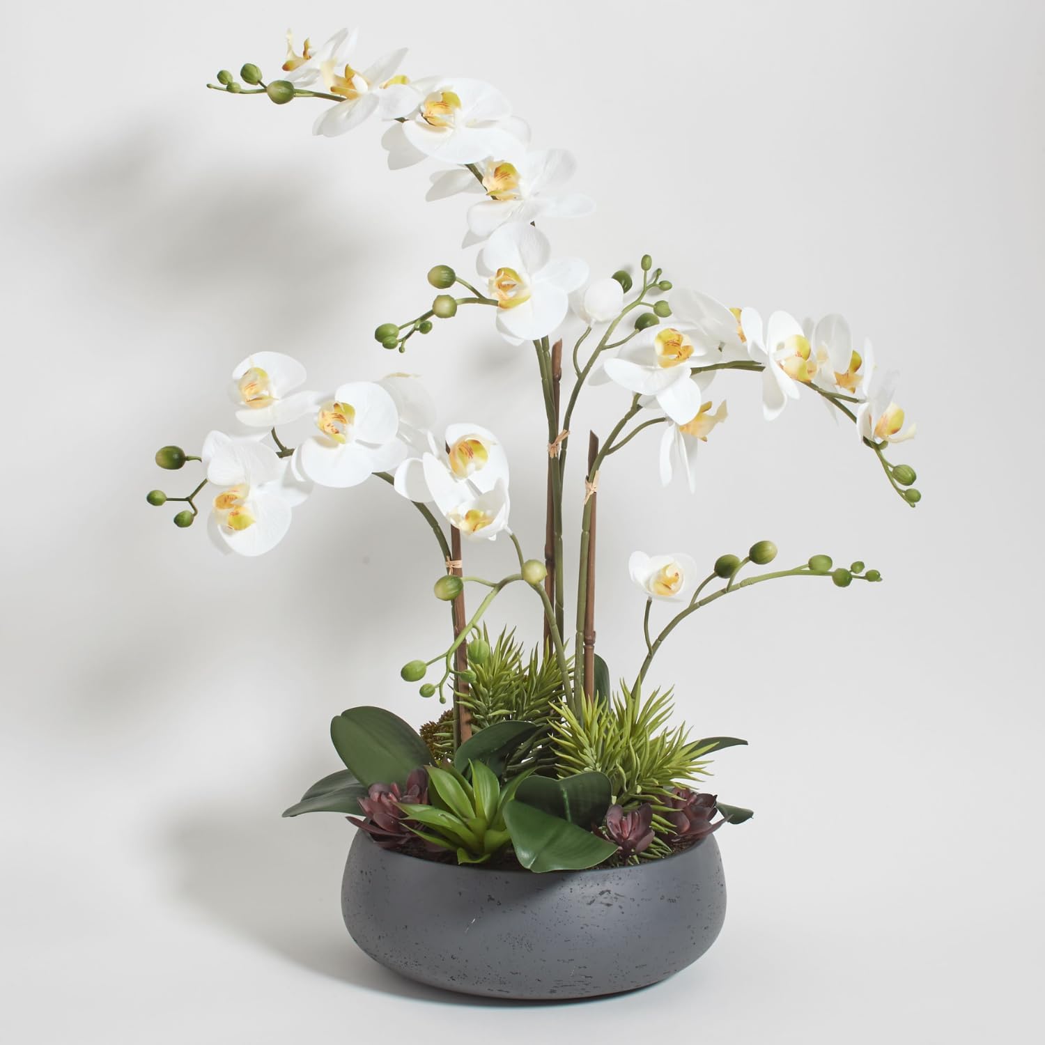 Faux Orchid Plant with Succulents