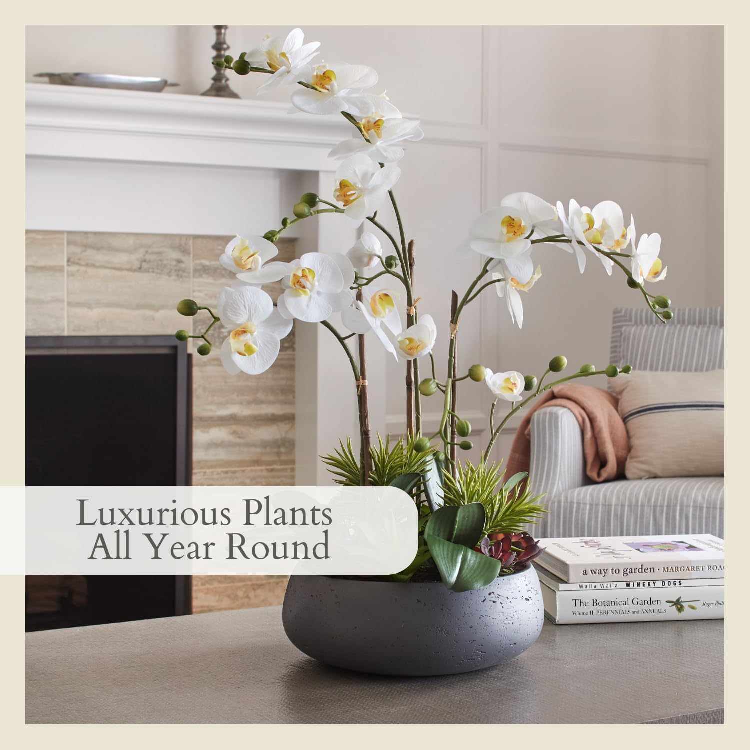 Faux Orchid Plant with Succulents - Image 5