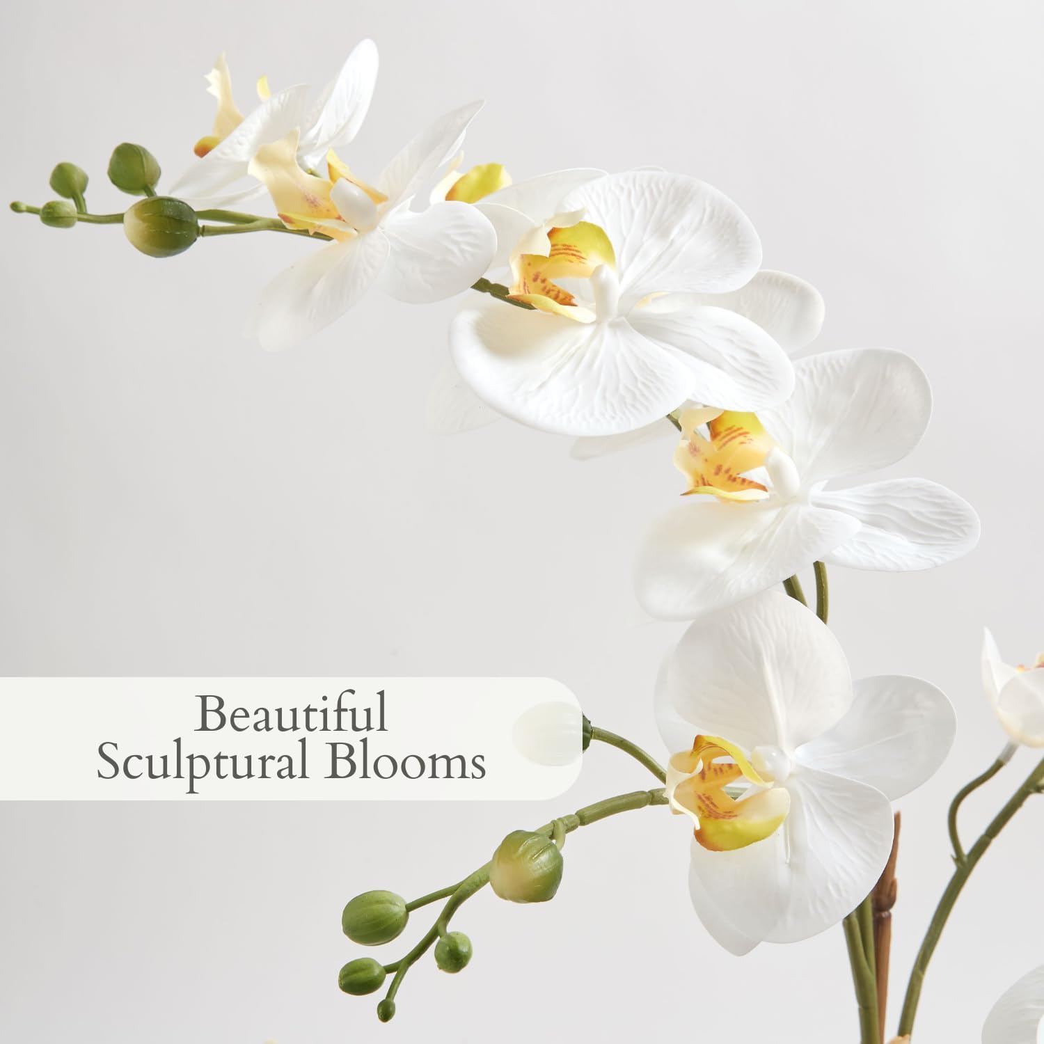 Faux Orchid Plant with Succulents - Image 3