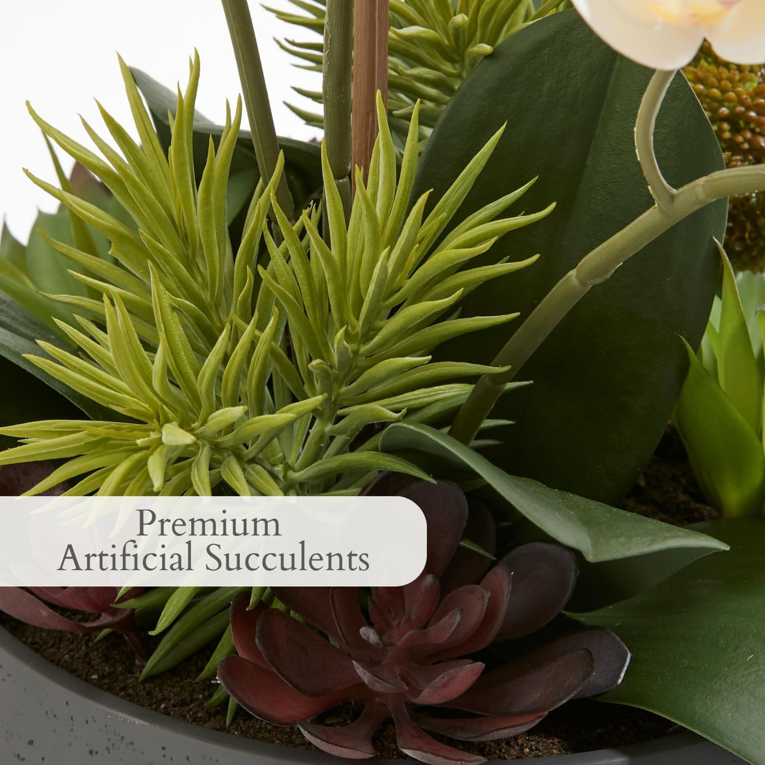 Faux Orchid Plant with Succulents - Image 4