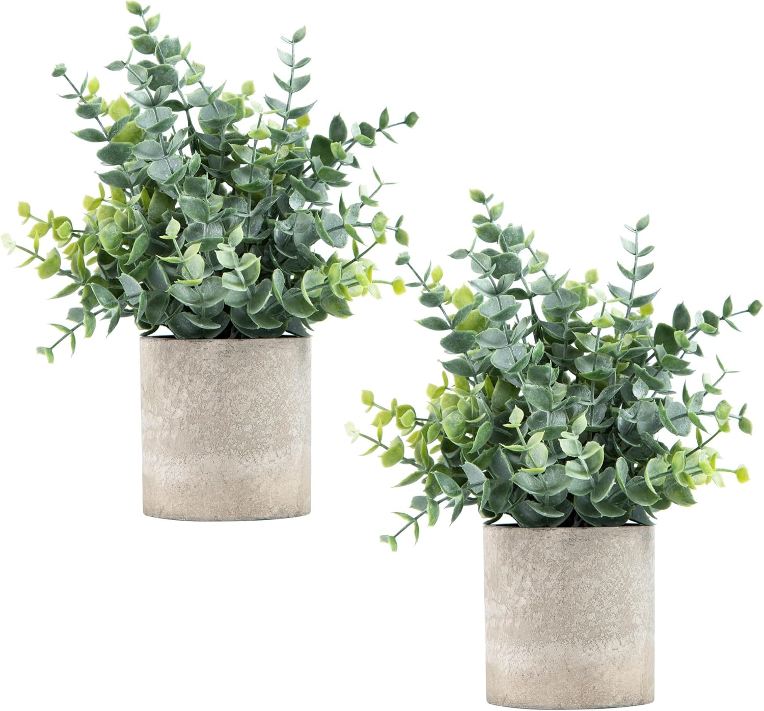 Artificial Eucalyptus Cement Pots