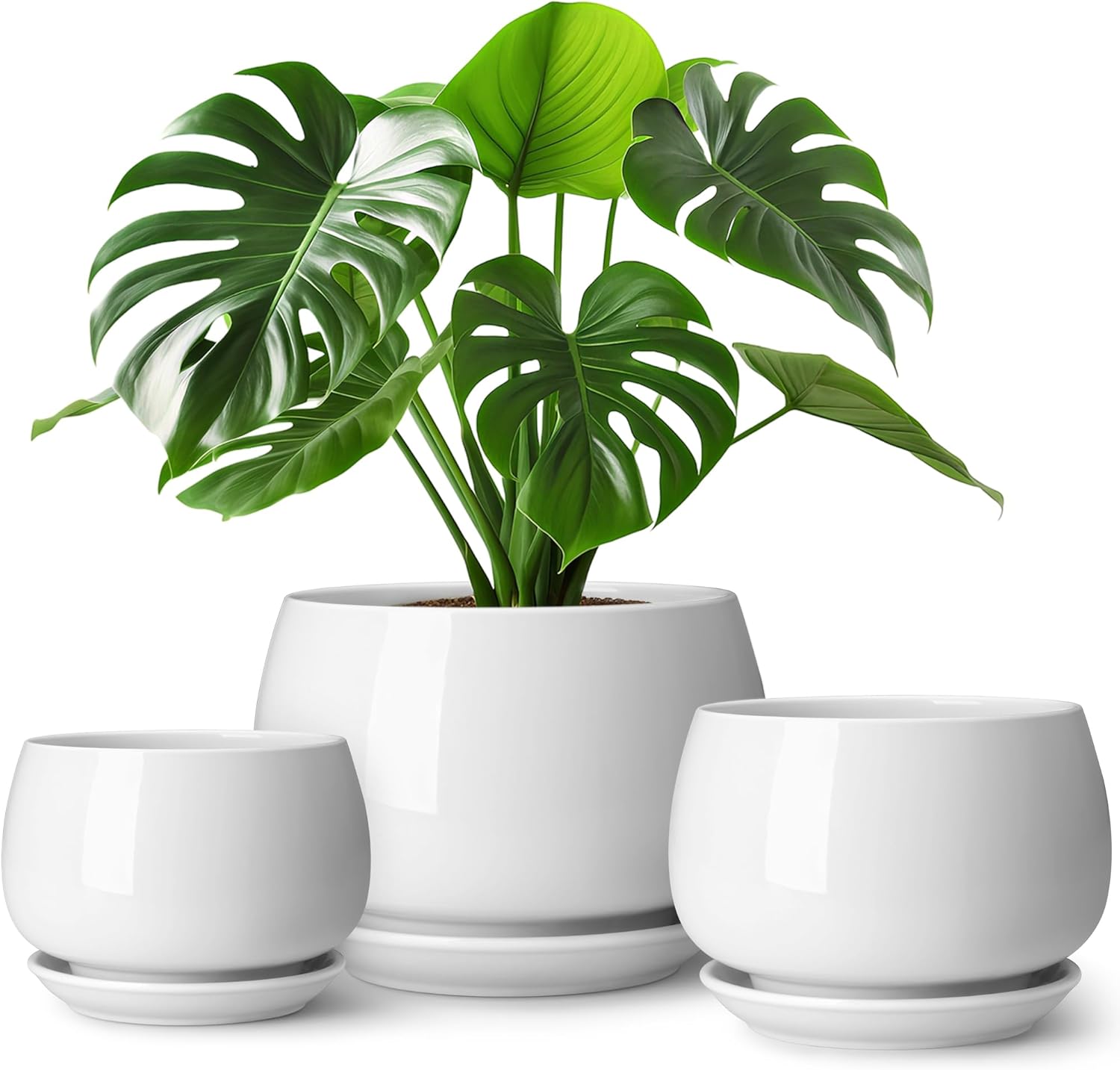 Ceramic Plant Pots with Saucers, 3 Pack, 3.7 to 6.2 inch