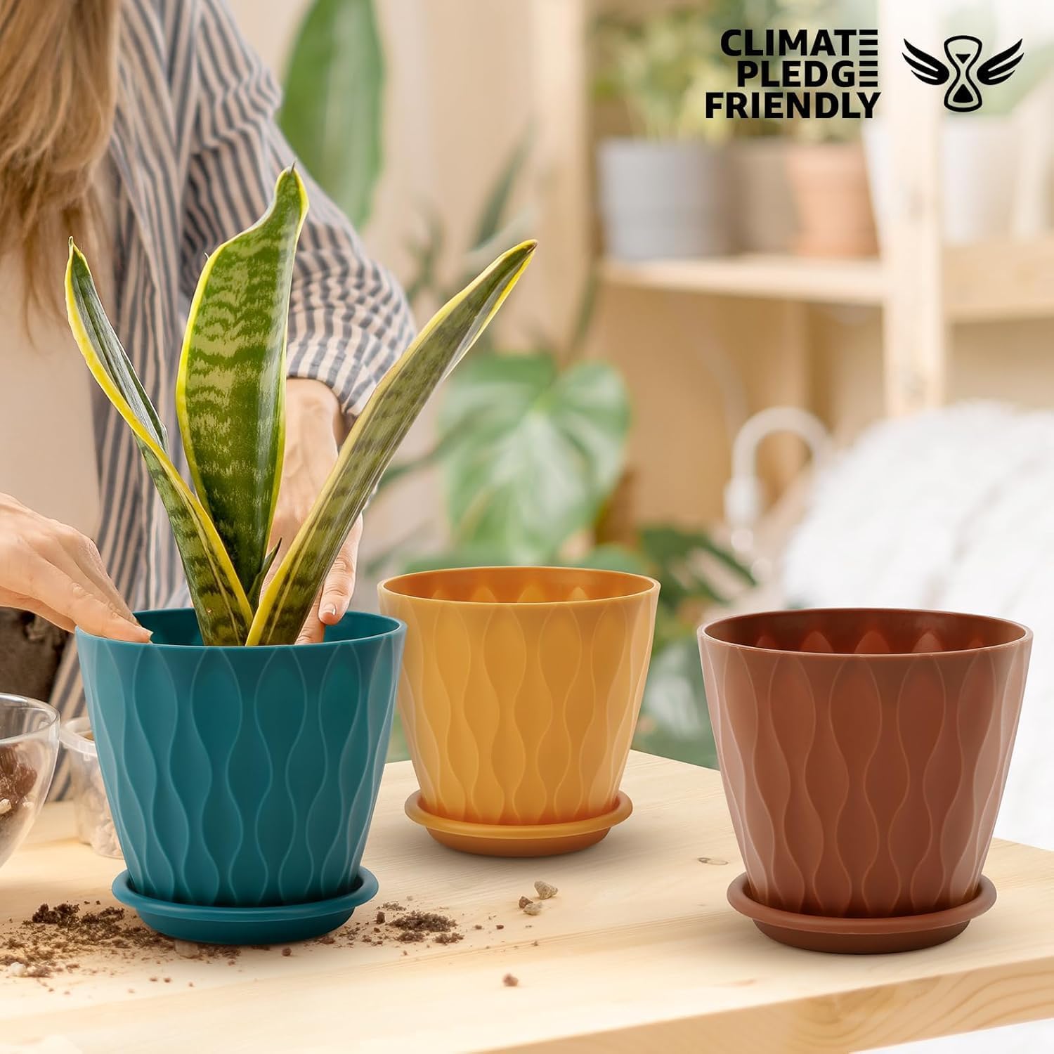 Flower Pots with Drainage, 5 Pack, 6 inch