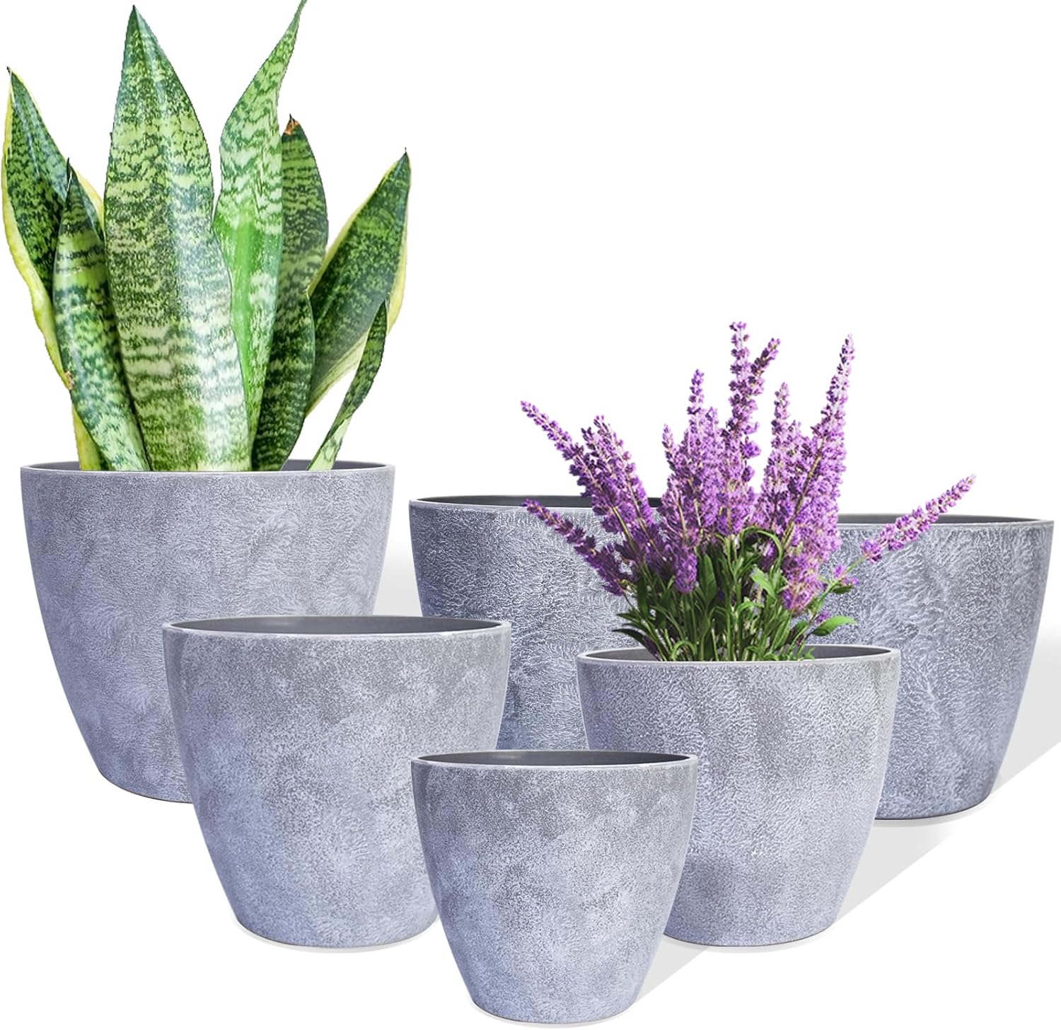 Indoor Plastic Planters, Set of 6, 3.5 to 7.5 inch
