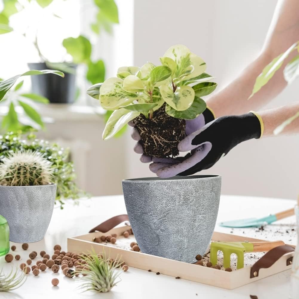 Indoor Plastic Planters, Set of 6, 3.5 to 7.5 inch