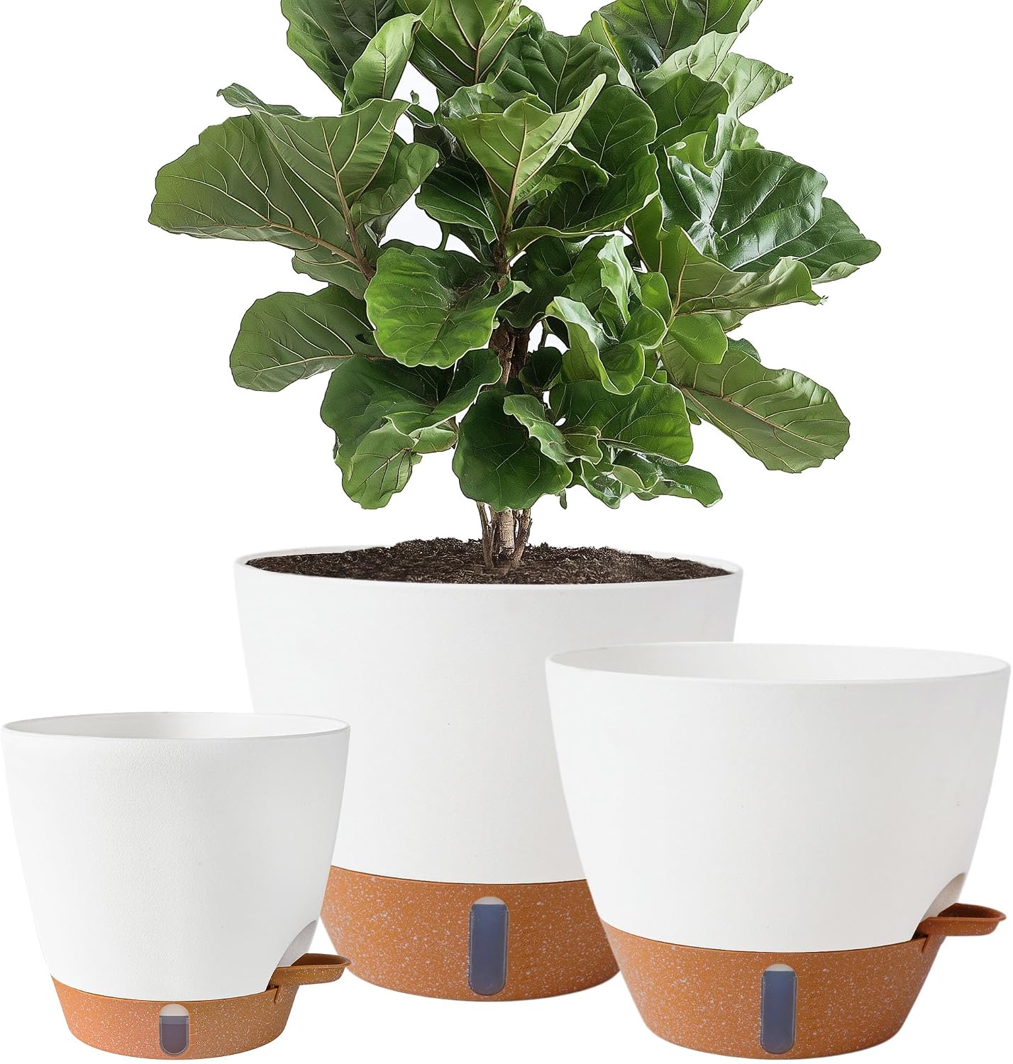 Large Self-Watering Pots, 8, 10 and 12 inch