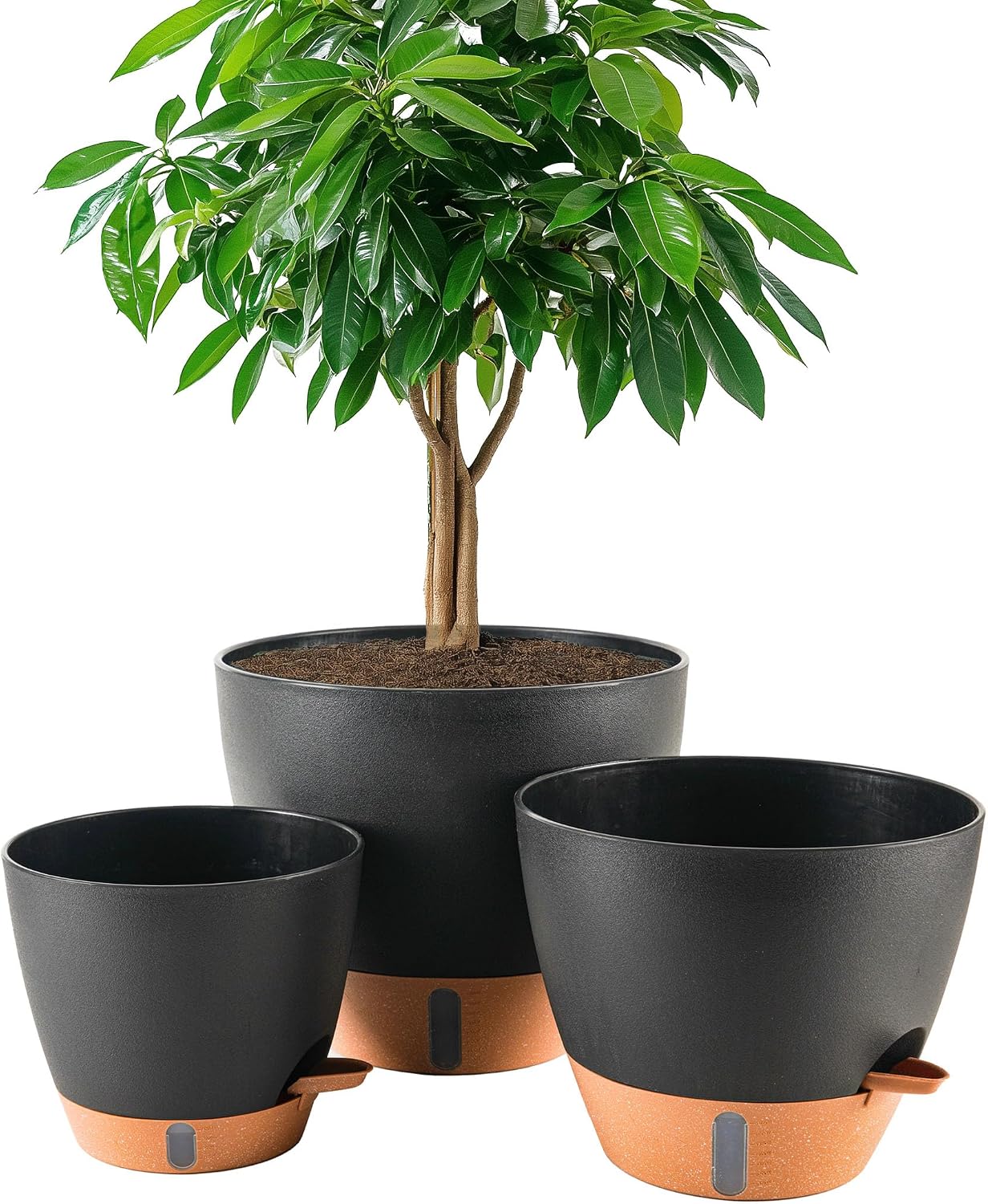 Self-Watering Pots