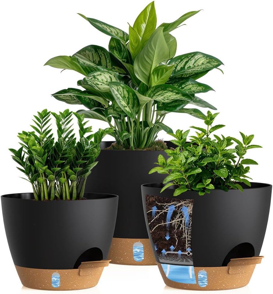 Self-Watering Pots with Drainage Holes, 3 Pack, 8 to 12 inch