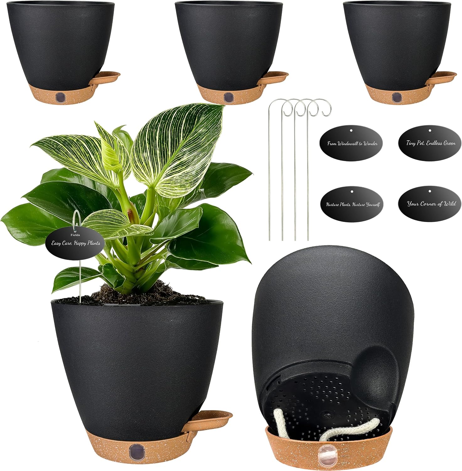 Small Self-Watering Pots, 5 Pack, 6 inch