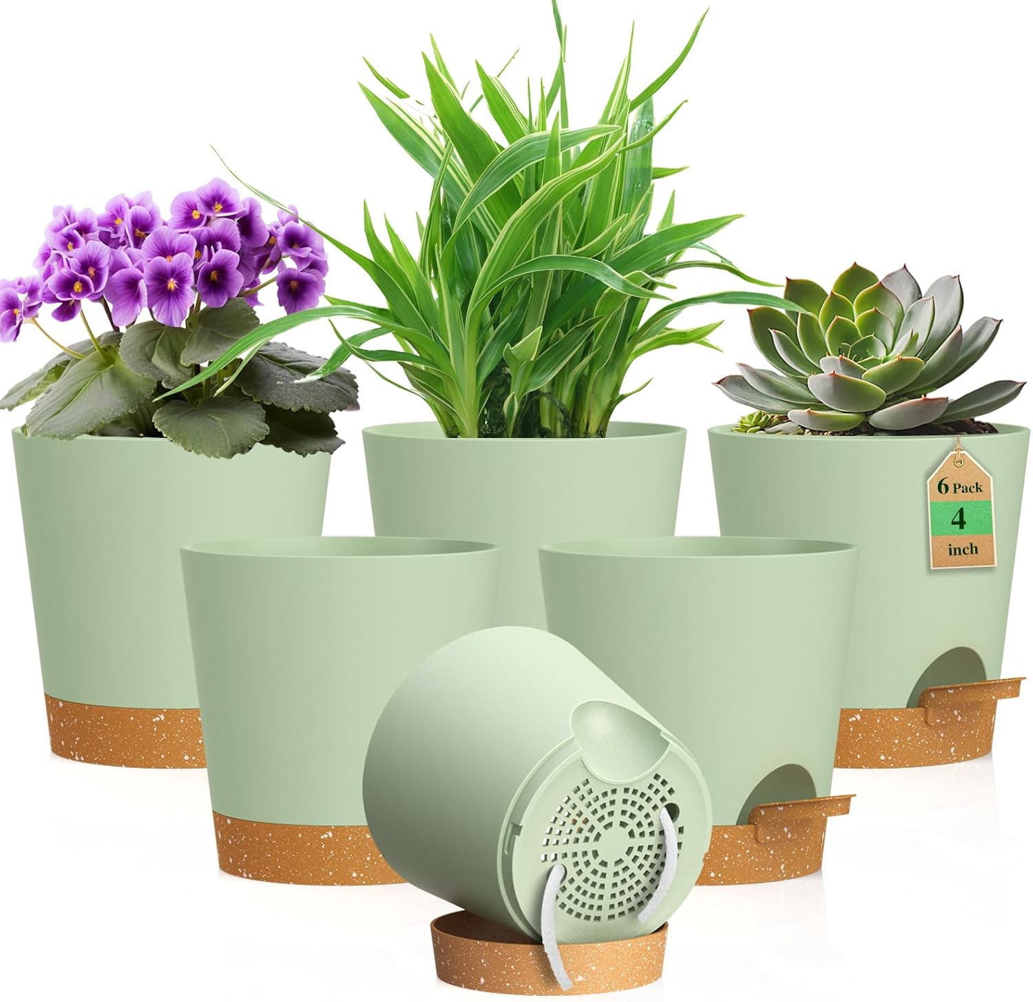 Small Self-Watering Pots, 6 Pack, 4 inch
