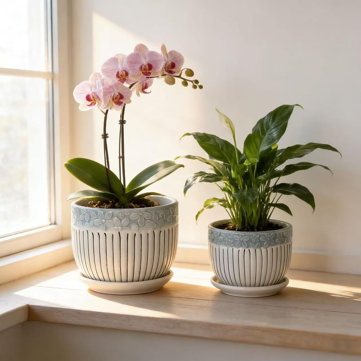 Vintage-Style Round Ceramic Pots with Saucers